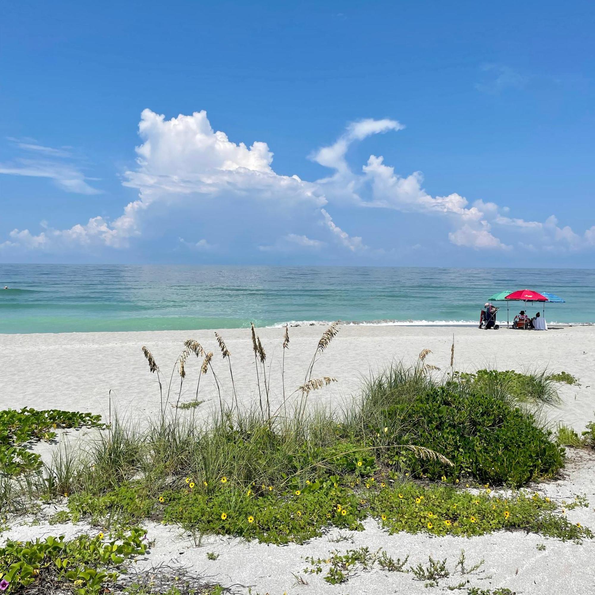 Turtle Beach Resort Siesta Key Exteriör bild